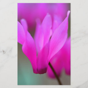 Wild Cyclamen Macro Stationery Briefpapier