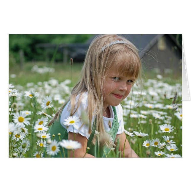 Wild Daisies (Vorderseite (Horizontal))