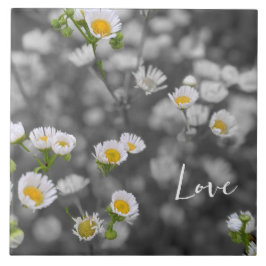 Wild Daisies Fliese