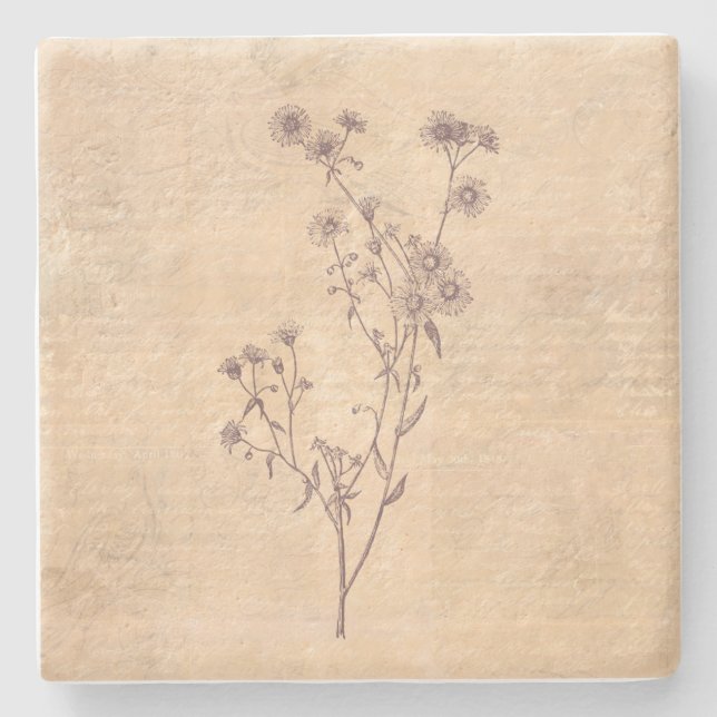 Wild Daisy Blume Wildblume Antiquariat Steinuntersetzer (Vorderseite)