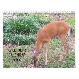Wild-Deer-Fotografie Kalender