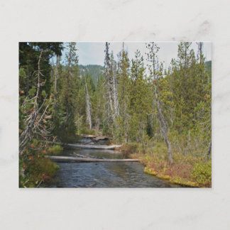 Wild Deschutes River, Oregon Postkarte