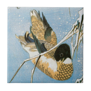 Wild Duck Schwimmend zwischen schneebedecktem Schi Fliese