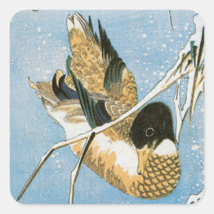 Wild Duck Schwimmend zwischen schneebedecktem Schi Quadratischer Aufkleber