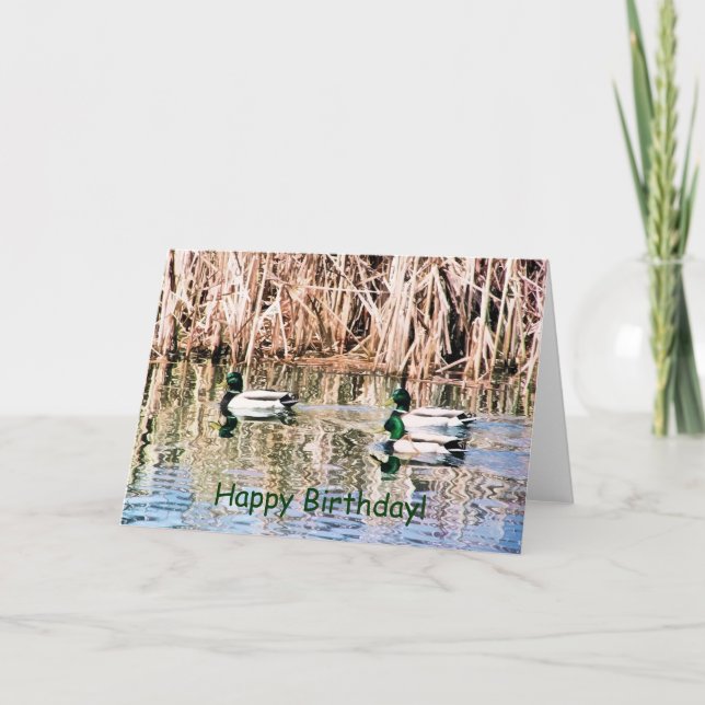 WILD DUCKS KARTE (Vorderseite)