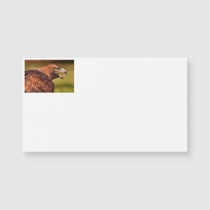 Wild Eagle Business Cards Magnetkarte