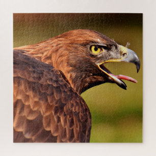 Wild Eagle Jigsaw Puzzle,676 Stk.
