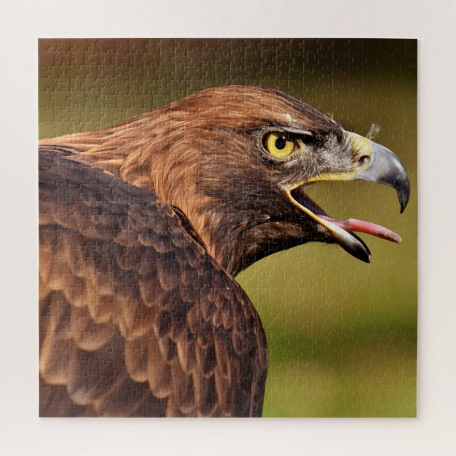Wild Eagle Jigsaw Puzzle,676 Stk. (Vertikal)