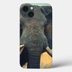 Wild Elephant Nah Up iPad Air Case