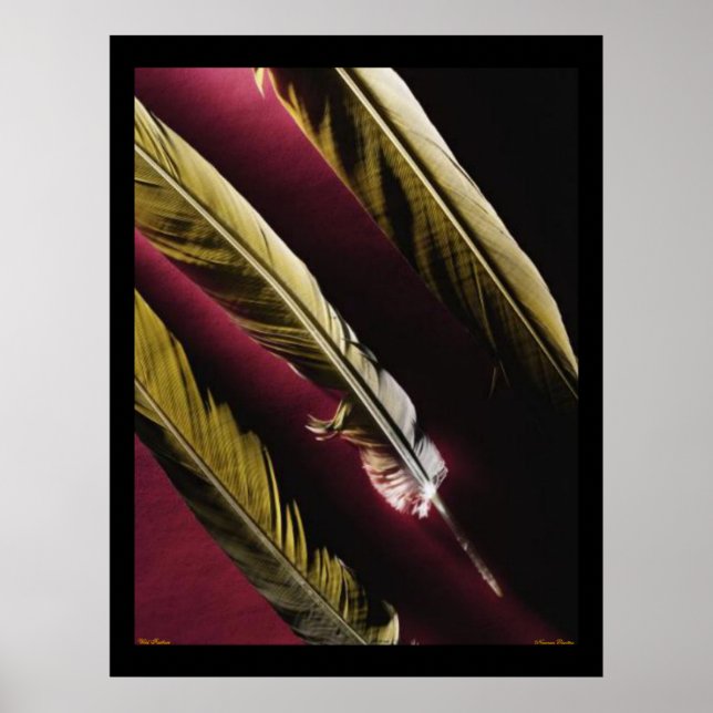 Wild Feathers Poster (Vorne)