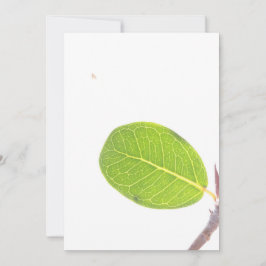 Wild Fig Rich Green Leaf Texture Card Feiertagskarte