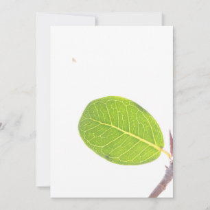 Wild Fig Rich Green Leaf Texture Card Feiertagskarte