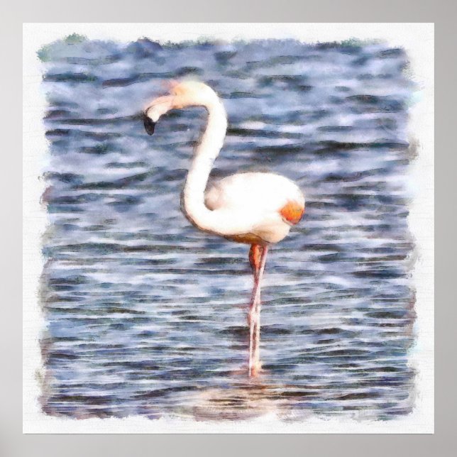 Wild Flamingo Poster (Vorne)
