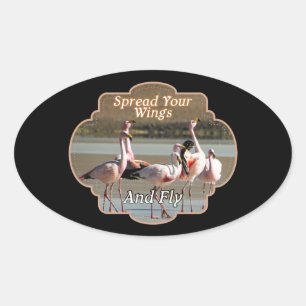 Wild Flamingos - Spread your Flüge and Fly Ovaler Aufkleber