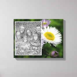 Wild Fleabane Daisy Blume Erstellen Sie Ihr eigene Leinwanddruck