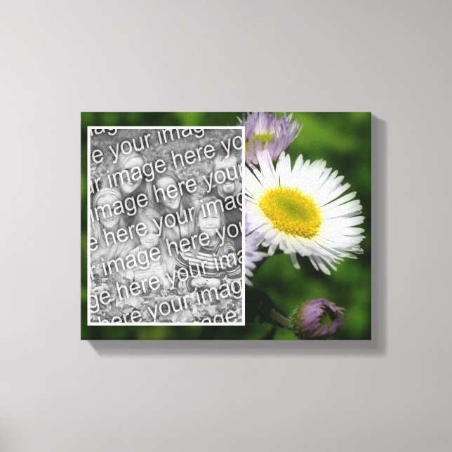 Wild Fleabane Daisy Blume Erstellen Sie Ihr eigene Leinwanddruck (Vorderseite)