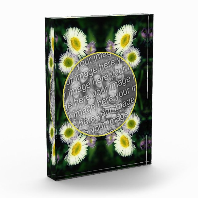 Wild Fleabane Daisy Blume Frame hinzufügen Fotoblock (Links)