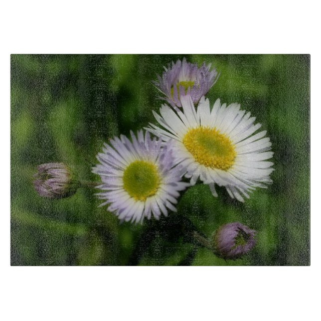 Wild Fleabane Daisy Blume Nature Schneidebrett (Vorderseite)