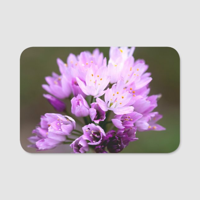 Wild Flower Namensschild (Vorderseite)