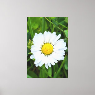 Wild Flower Rumänien – Botanische Makrofotografie Leinwanddruck