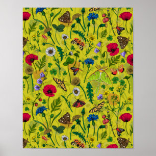 Wild flowers and moths 2 poster