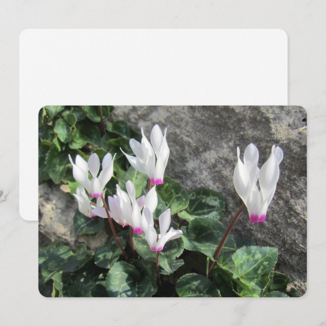 Wild Flowers Flat Holiday Card Feiertagskarte (Vorne/Hinten)