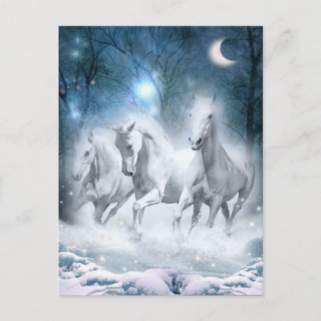 Wild Flurry Postkarte (Vorderseite)