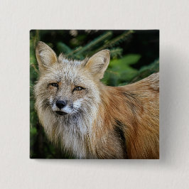 Wild Fox Button