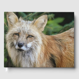 Wild Fox Gästebuch