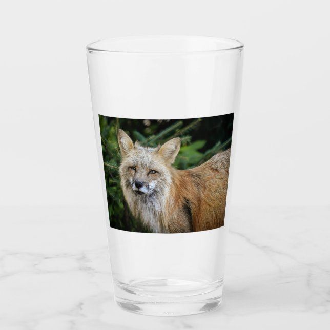 Wild Fox Glas (Vorderseite)