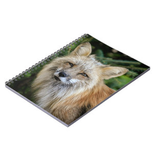 Wild Fox Notizblock
