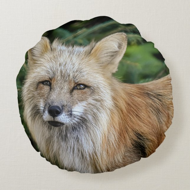 Wild Fox Rundes Kissen (Rückseite)