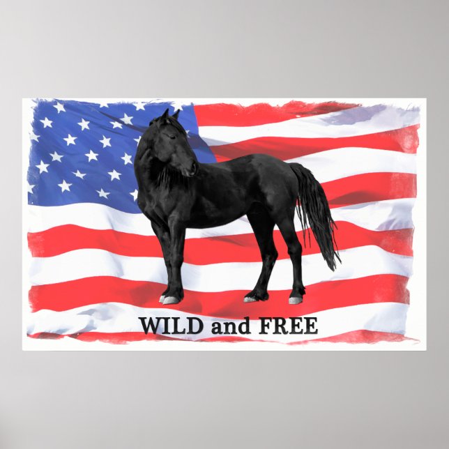 Wild & Free American Wild Horse Poster (Vorne)