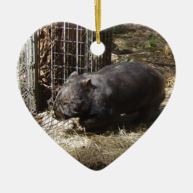 Wild für Wombats Keramikornament (Vorne)
