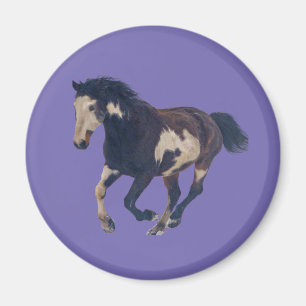 Wild Galloping Pinto American Paint Horse Magnet