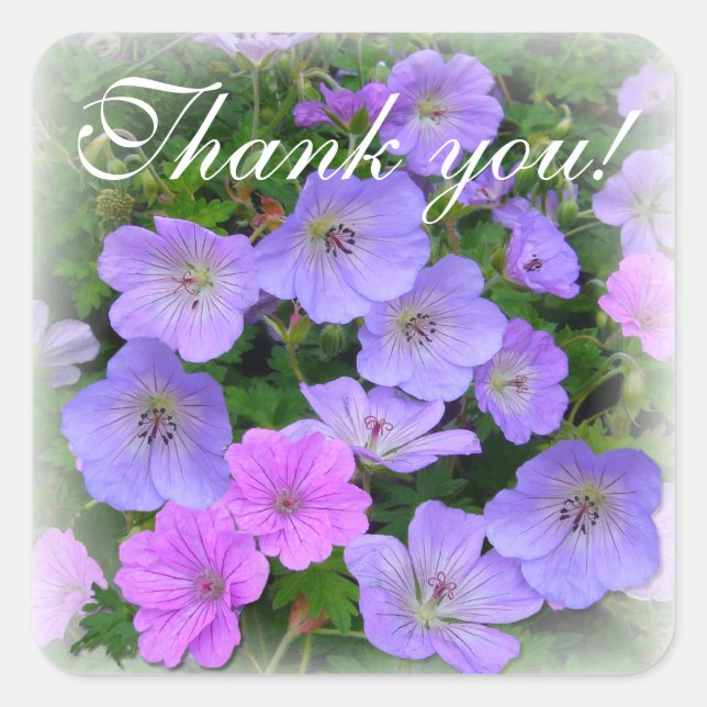 WILD GERANIUM ~ Square Envelope Sealer/Aufkleber Quadratischer Aufkleber (Vorderseite)