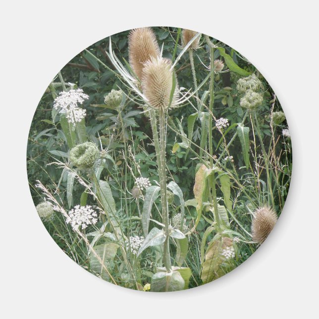 Wild Grasses Magnet (Vorne)