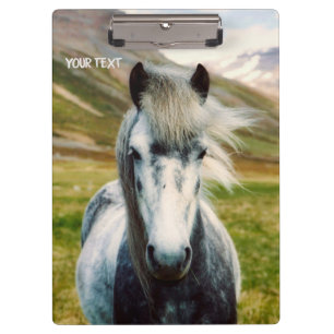 Wild Gray Horse Klemmbrett