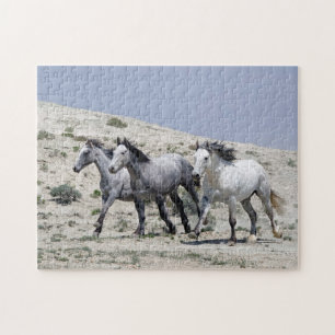 Wild Gray Horses