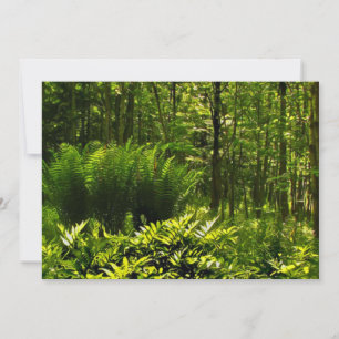 Wild Green Fern Summer Solstice Party Invitation