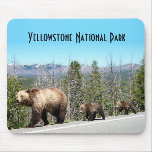Wild Grizzly Bear Mama und Cubs in Yellowstone Mousepad
