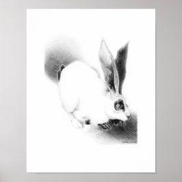 Wild Hare Card Poster