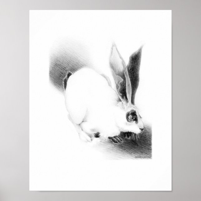 Wild Hare Card Poster (Vorne)