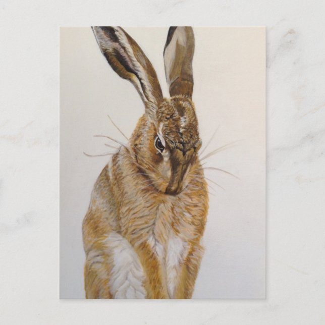Wild Hare Postcard Akryllische Malerei Postkarte (Vorderseite)