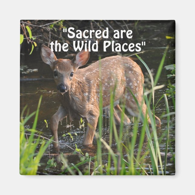 Wild Hirsch Fawn Wilderness Gift Magnete Magnet (Vorne)