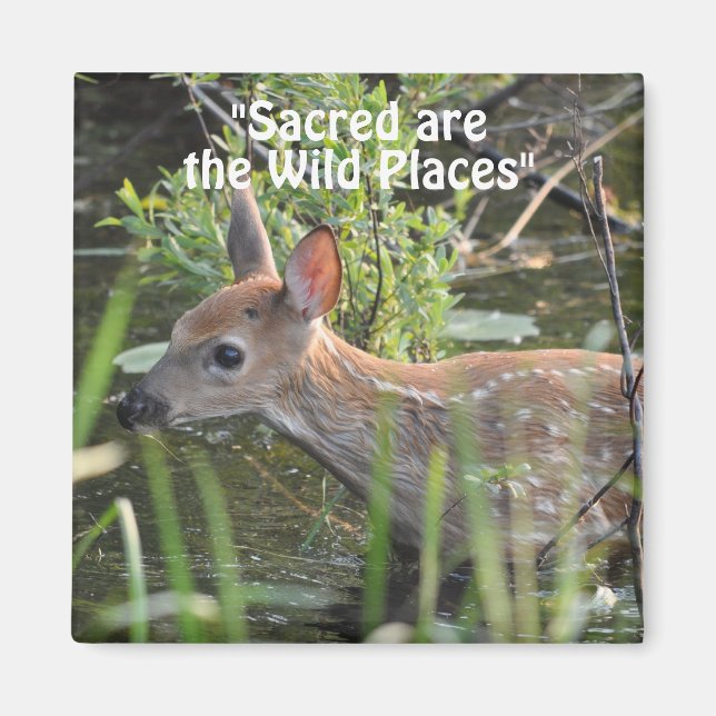 Wild Hirsch Fawn Wilderness Gift Magnete Magnet (Vorne)