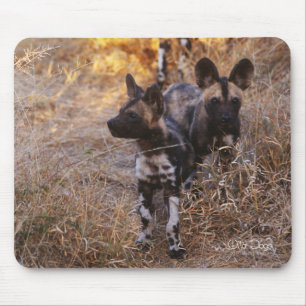 Wild Hogs Mousepad