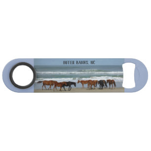 Wild Hors Outer Banks NC