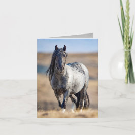 Wild Horse Blue Zeus kommt Nahe Grußkarte Karte