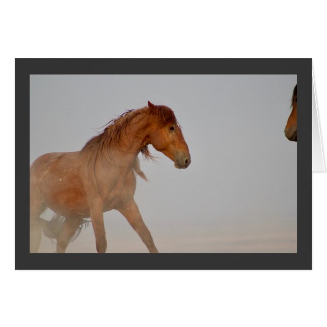 WILD HORSE DE L'UTAH DANS LE DÉSERT DE L'OUEST (Devant horizontal)